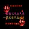 我是孤独的野狼
