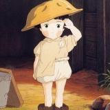 夏末香樟summer