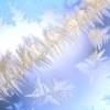 ぢ苹果甜的烦恼