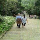 褪隐苍华