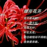 浮生年华