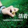 零丁浮平