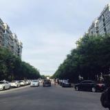 小子，别跑