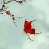 秦瓈