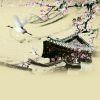 听风、看雨