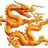 一条龙