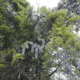 时光浓淡  远近相安