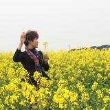 敏敏