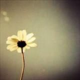 MY-lm
