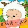 %傻样$