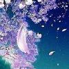 浮生若梦
