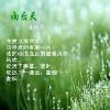 无奈何