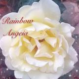 angela