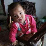 李莉