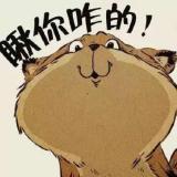 又回到最初的起点