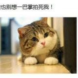 书友76660