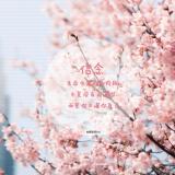 一世落寂如诗