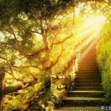 童颜无极