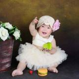 在路上拼命飞的笨鸟