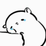 llll555