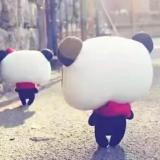 丽人