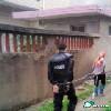 七宗罪