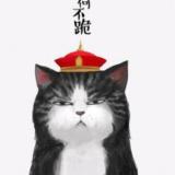 扎罗山之雾
