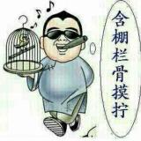 华D