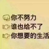 书友62842