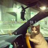书友38196