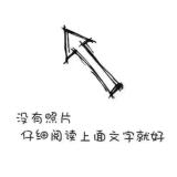 书友41860