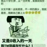 宝哥