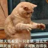 三和村海乐福百货（水果）