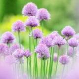 卷卷一人很自在