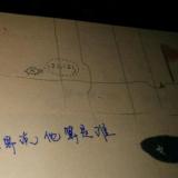 你们的豆大人