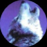 漂泊浪子99