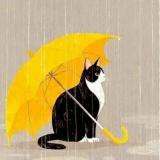 短发*夏天
