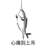 今日不宜日狗
