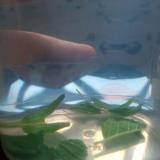 润德教育大同二小区彭雅