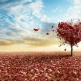 爱的错觉也是喜欢