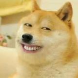 上心并狂