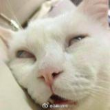 让子弹灰