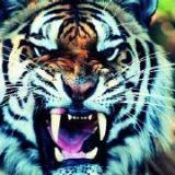 魔渡苍生5584217520