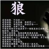 一醉解千愁
