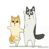 懒人