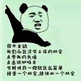 飞呀飞