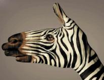 安慰是失恋者得救后很感激忠诚的狗