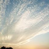 夕阳