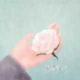 记忆中的回眸