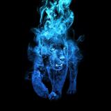 一一路漫漫一一